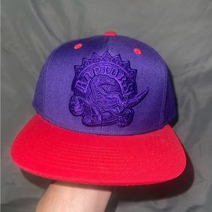 NBA Toronto Raptors SnapBack new with tags